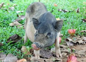 不只是海浪沙灘 海鮮大排檔與往返機票千元起