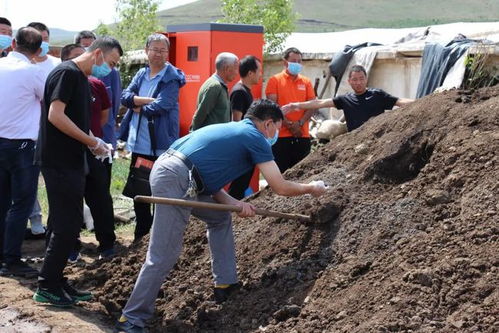 土地被畜禽糞便污染后能否繼續(xù)種植莊稼與垂釣的影響